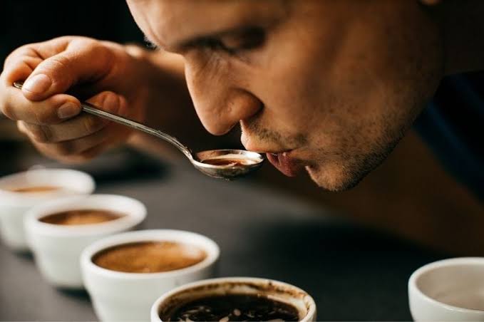ترشی قهوه از کجا می‌آید؟